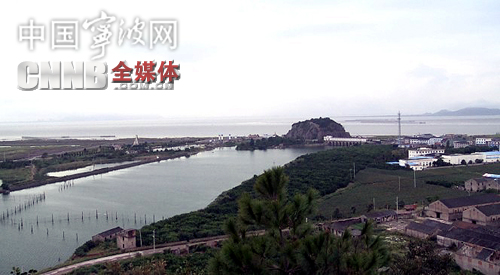 【中国宁波网】中国宁波网走入宁海三门湾新区