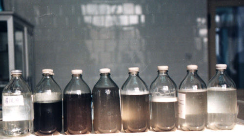 洗肺:矿工们的救赎--宁海新闻网