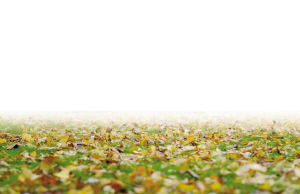 <em>小雪</em>时节 <em>宁波</em>市民腌肉腌得香气喷喷--宁海新