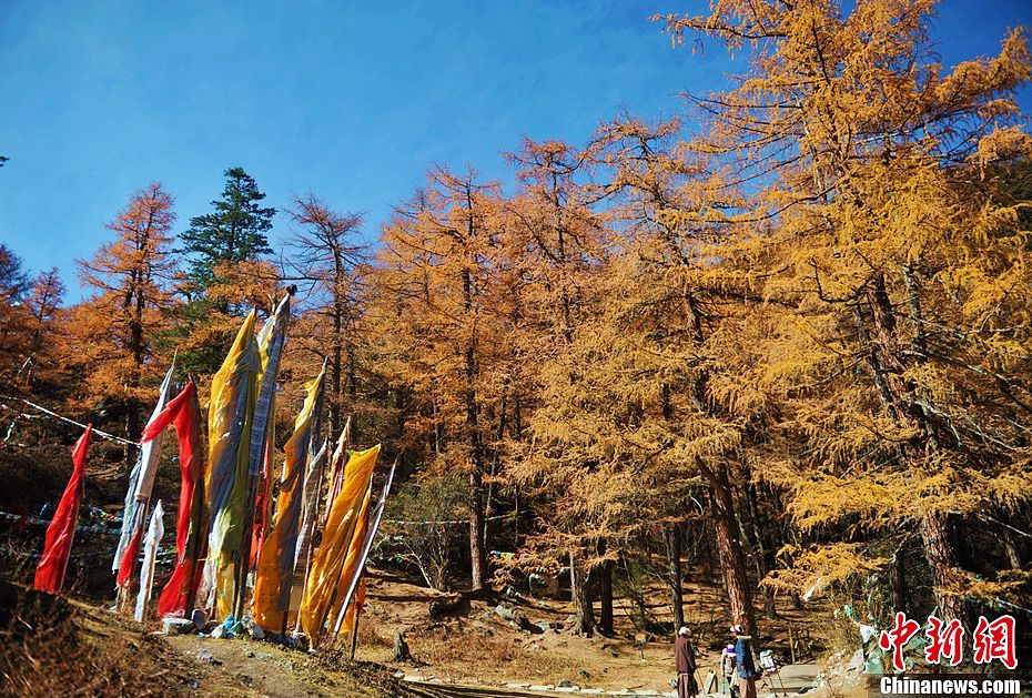 中国最后的香格里拉--稻城亚丁秋韵