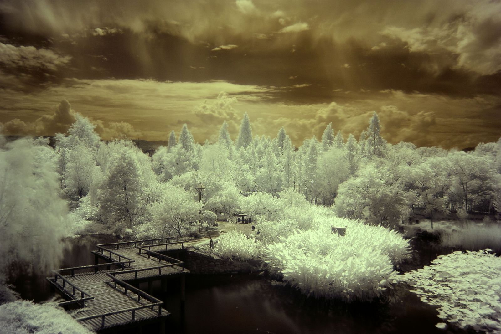 雪花飘飘新年好