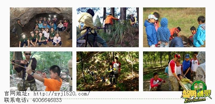 智勇精灵儿童乐园加盟:将最前沿的攀岩活动场