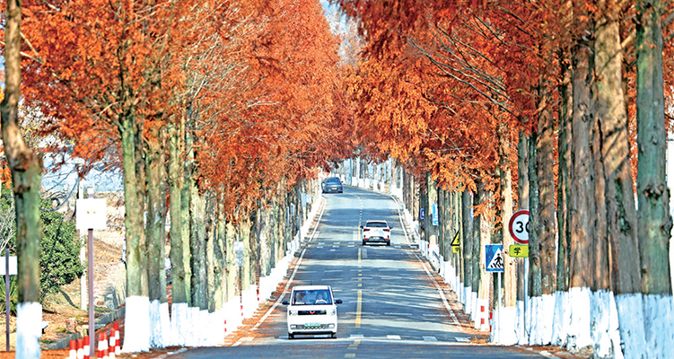 ������·��ˮɼ���족��