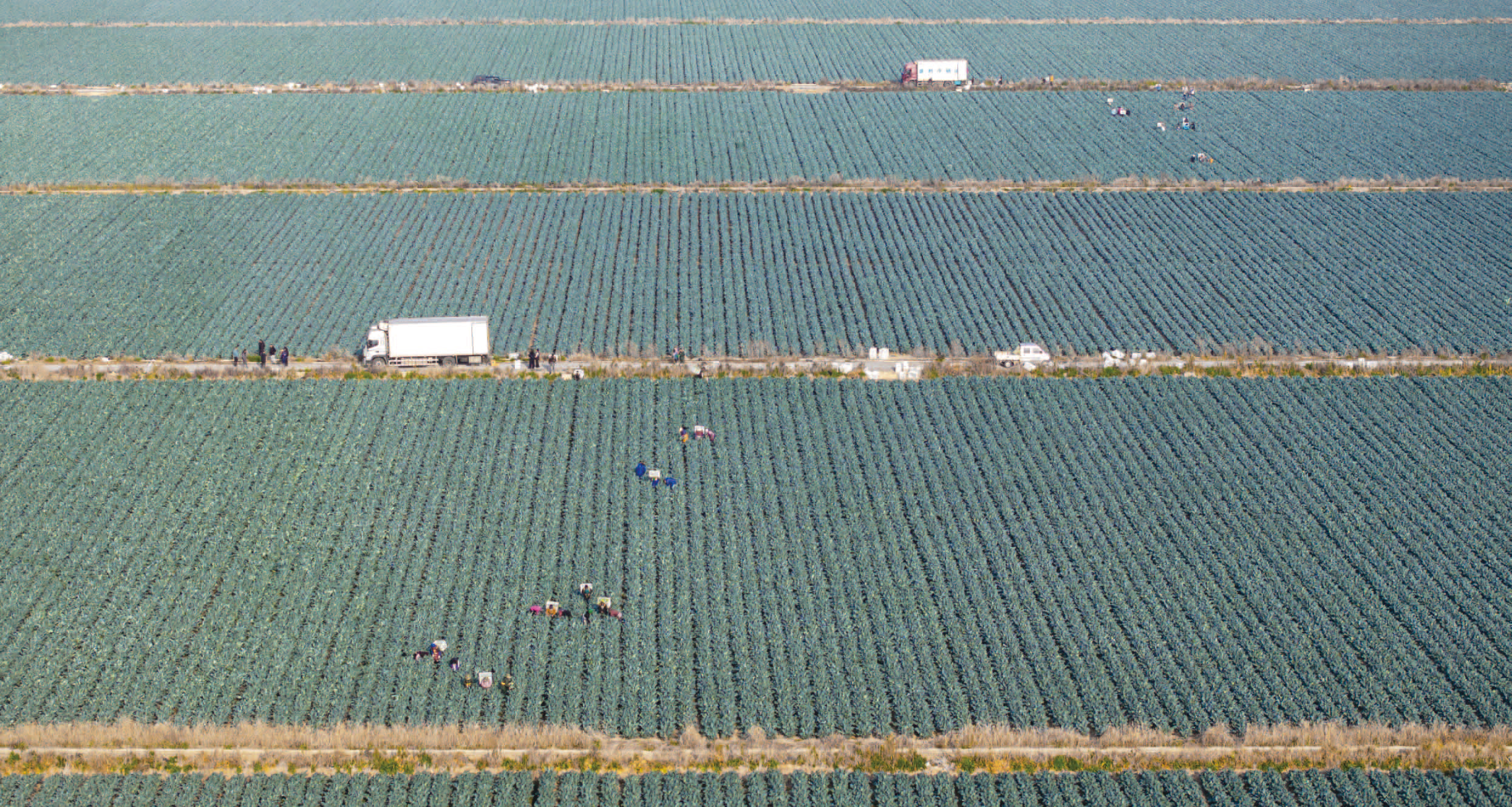 ¶����İǧ�Ա� �����������æ