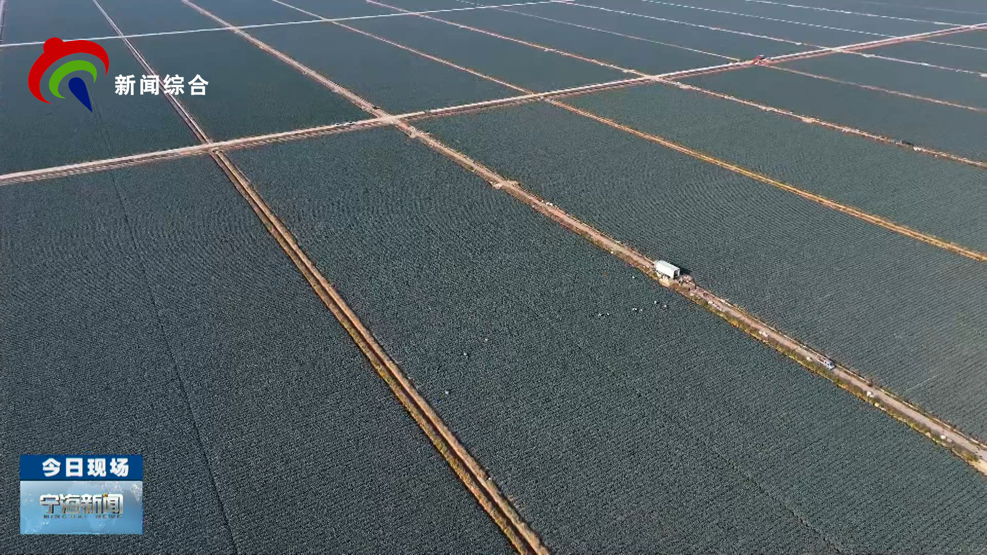 2025��12��18�գ������ģ���������