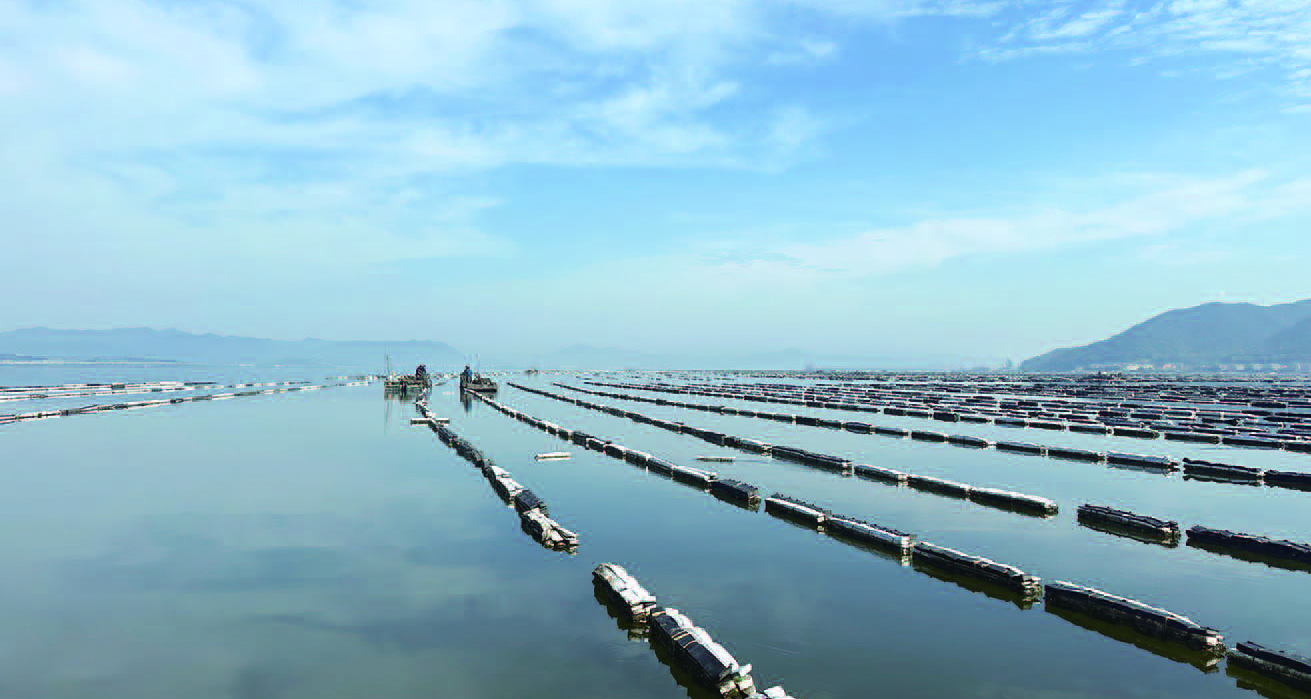 ����ĵ�������ʡ�����