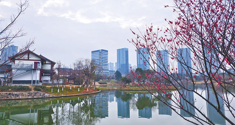 ����Ȧ��������