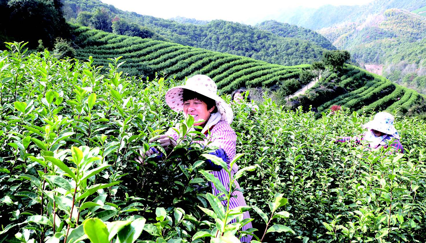 �²�������