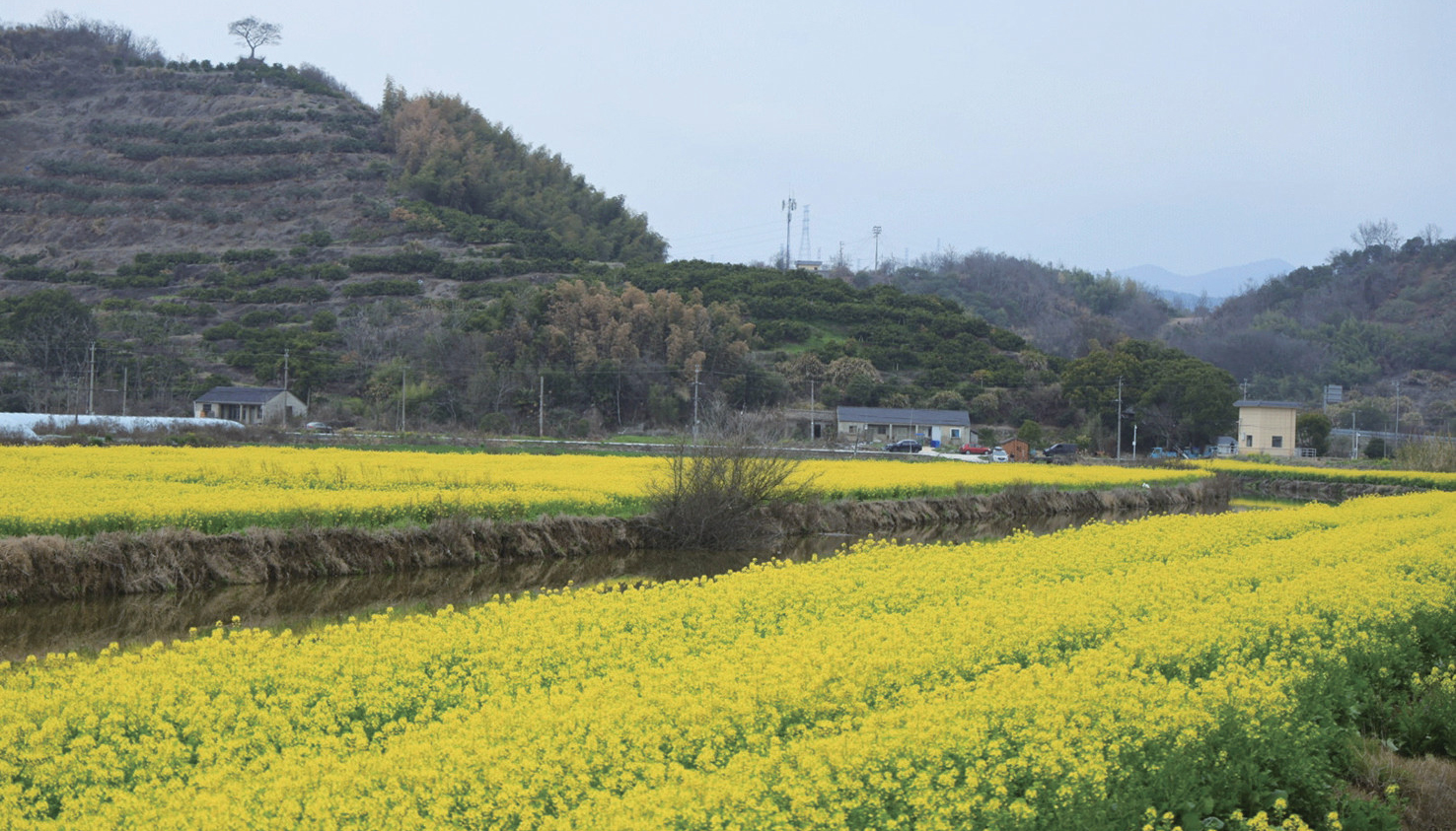 ����Ȧ��������