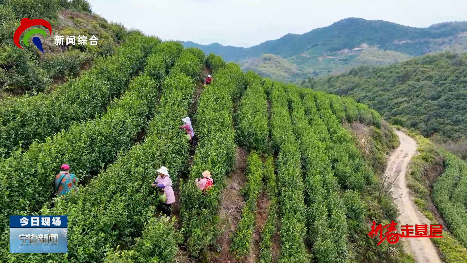 2026��3��10�գ����ڶ�����������