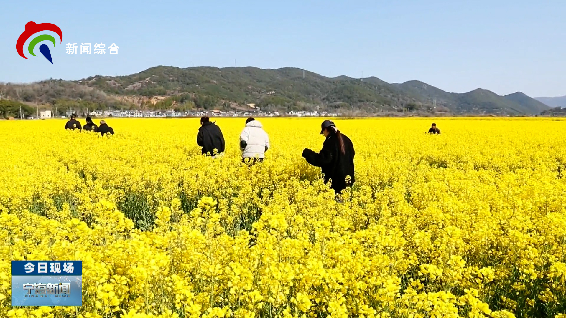 2026��3��12�գ������ģ���������