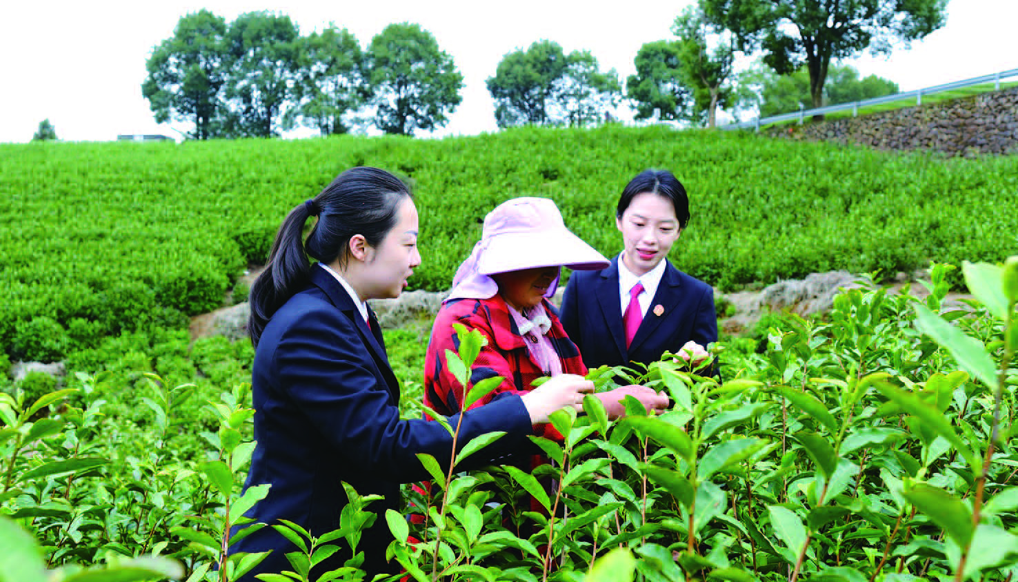 �ͷ�����԰