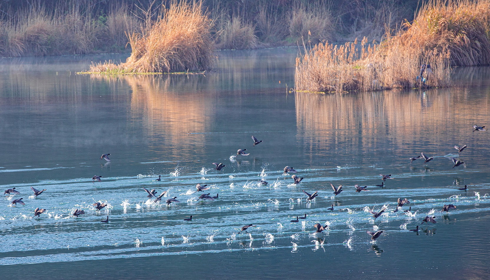 �������ã���һ������֮Լ