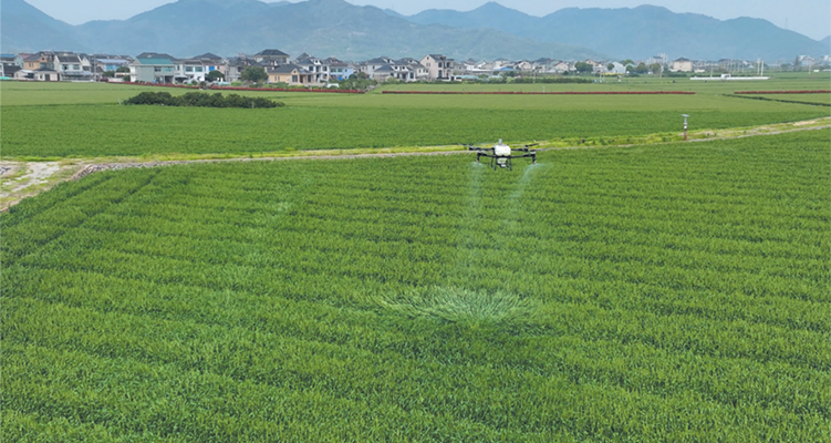 ���˻��ɷ�������������