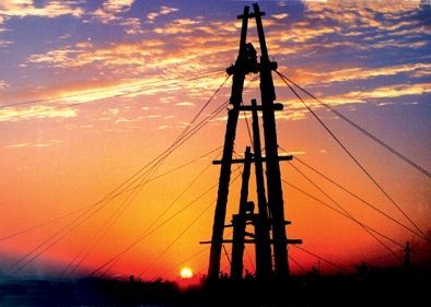 Ҫ�����ж��� ϸ�����ڸ������ʤ��