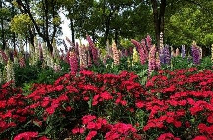��ɫ�����Լ���·�������