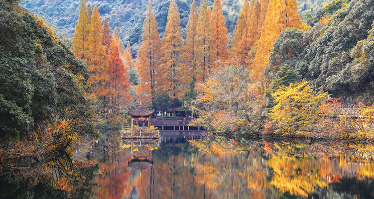 ů������ ������Լ