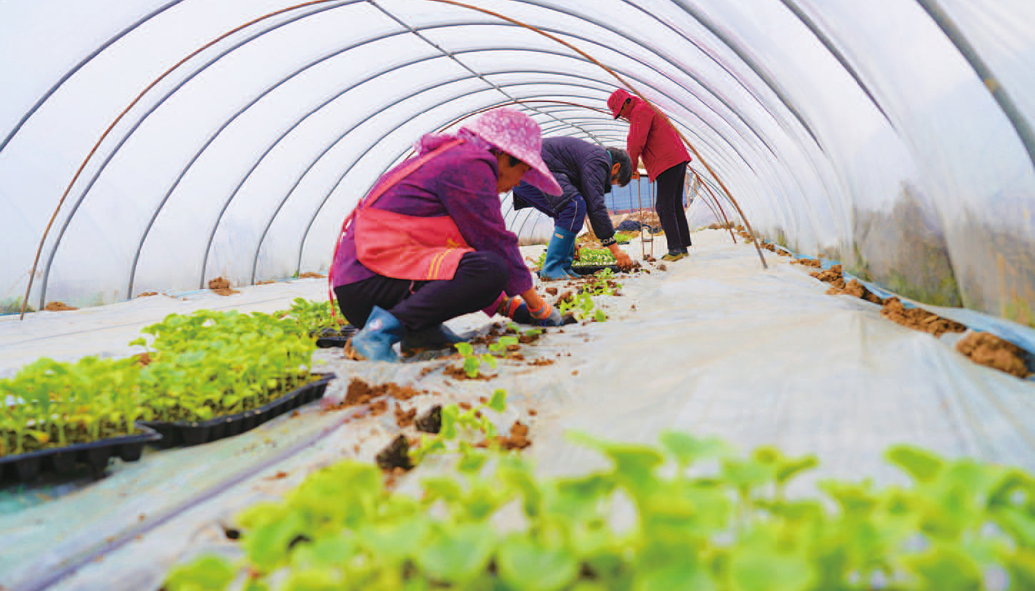 ���ְ��´��������ټ��� ��벢�ٻ�ͷ��վ�