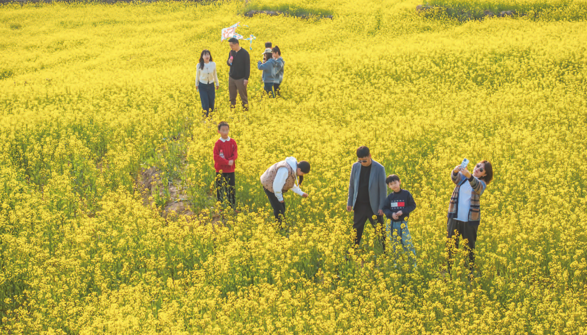 ���������뻭��