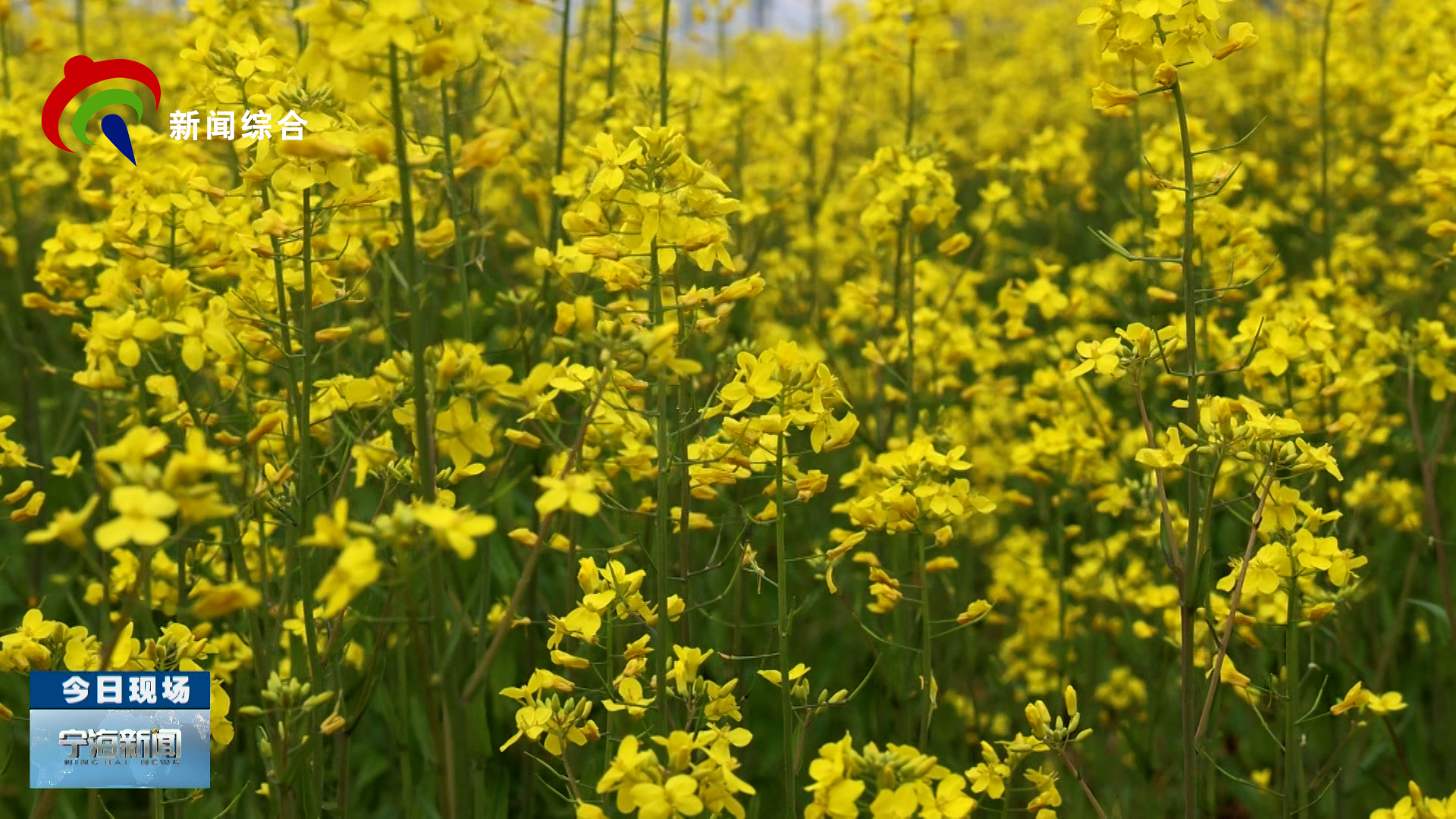 2026��3��19�գ������ģ���������