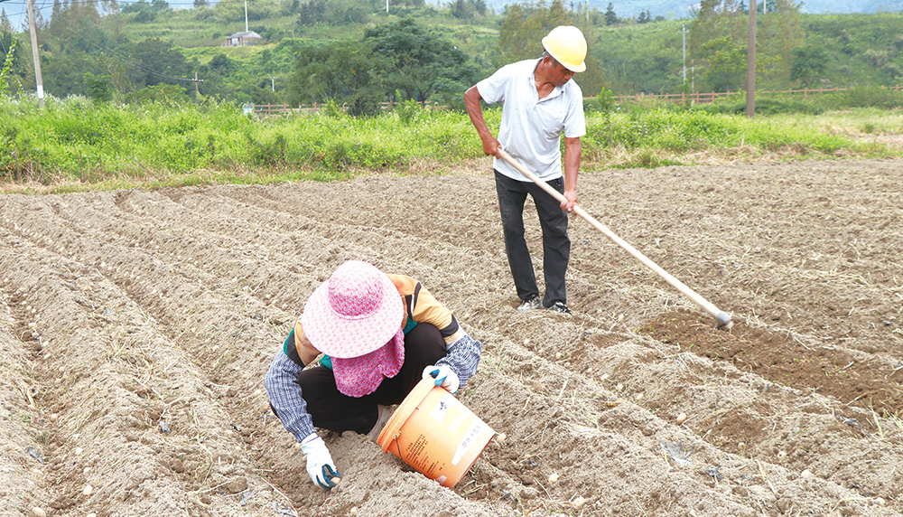 ������������δ������